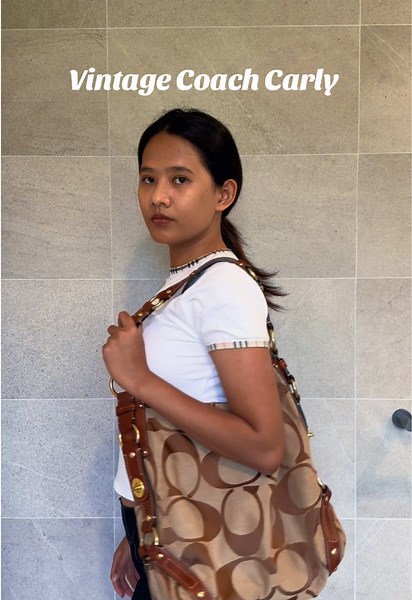 Vintage Coach Carly Bag Review and Chimney Repair