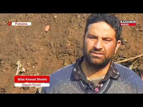 Pulwama's Entrepreneur Starts Organic Fertiliser Unit, Sees District-Wide Demand