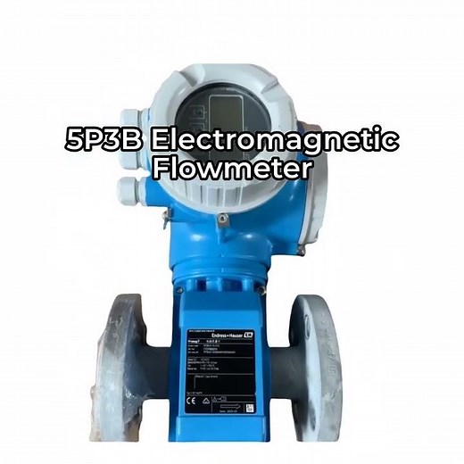 E+H Proline Promag P 300 5P3B Digital Electromagnetic Flowmeter for Water & Oil Measurement