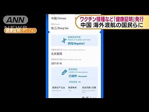 ワクチン接種歴など 海外渡航に「健康証明」発行(2021年3月9日)