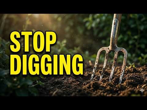 The No-Dig Method What the Research Actually Says