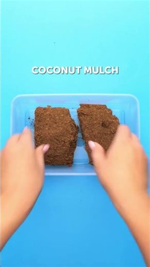 From Coconut Husks to Eco Products: The Hidden Business You Didn’t Know