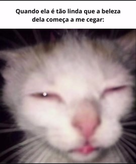 Sorian on Instagram: "Me segue pra mais 😼"