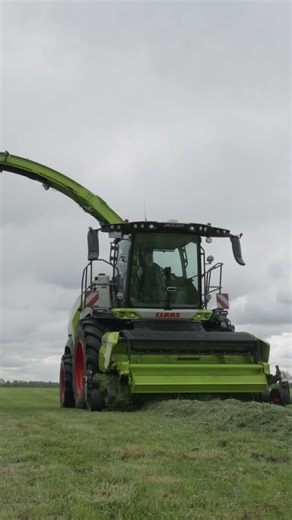 All I want for Christmas is...