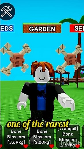 Limited bone blossom hurry #boneblossom #growagarden #roblox #shorts