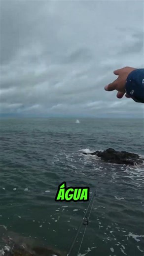 Você ja viu um peixe voador?