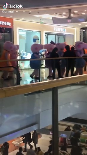 Exploring Peppa Pig's Influence in China