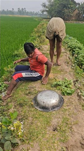 The cow has arrived.13