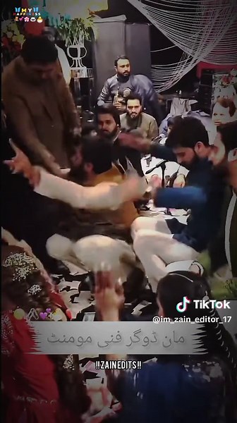 Funny Dog Clips That Will Make You Laugh