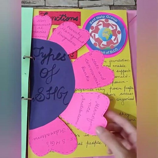 class 12 economics project on Self help group🤝