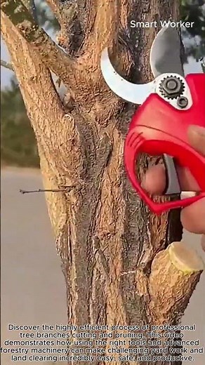 How Good Machinery Makes Tree Trimming Easy and Fast #worker #process #equipment #shorts