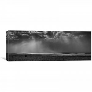 Dancing Light (Mono) Picture Canvas Wall Art in Colour by Derek Daniel ID #1228334