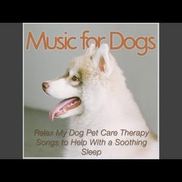 Safe Space Music for Dogs