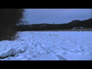 Coyote hunting " .17 WSM"