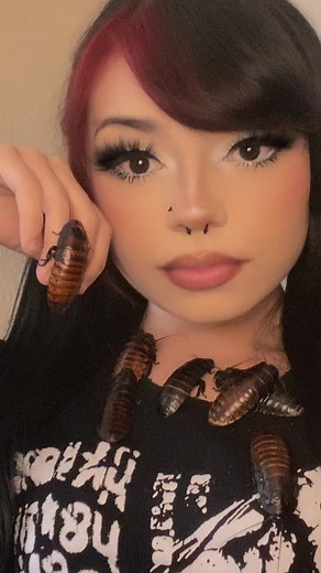 charlotte🪳🇵🇸 (@mothmamiii)’s videos with original sound - kelly