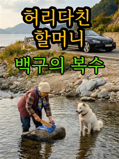 백구의 복수: 허리 다친 할머니를 위한 이야기