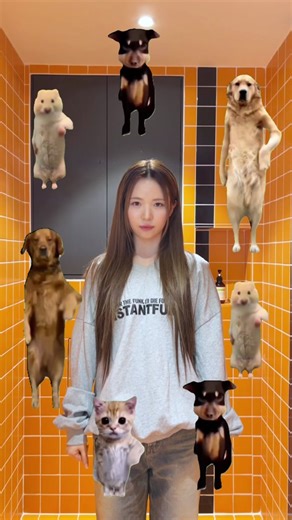 Adorable Pets Compilation ft. MAYA from NiziU!