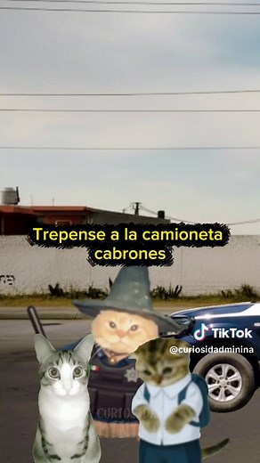 Aventuras de Pinta: Escapando de la Escuela