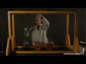 Alkaline Metals In Water