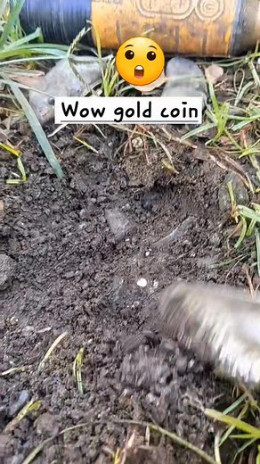 Wow so lucky finds. #treasure | GO finder