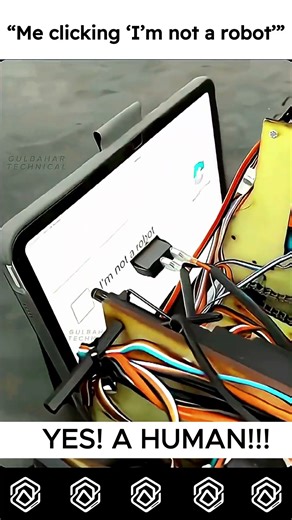 Are You HUMAN ? #coding #developer #python #javascript #codingforbeginners #css #html