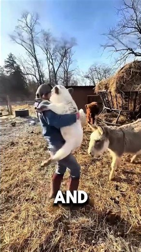This Little Cow Stole Their Hearts 🐄 #heartwarming #animalstory #cuteanimals