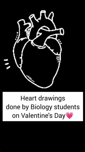 BioAid: Your CXC Biology Tutor on Instagram: "Which heart drawing looks like yours?🫀💘💔 But on a serious note... Regardless of your relationship status today, may your heart be filled with love, peace, joy and hope that comes from your Heavenly Father🙏🏽 Happy Love Day!❤️❤️❤️ #cxcbiologytutor #biologyhumour #valentinesday #heartfelt #loved"