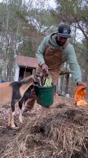How to make compost in 14 days: Day1 #foryou #compost #shorts #gardening #farming