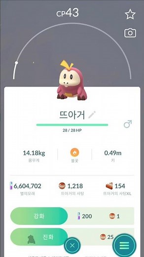 포고플플이 잡은 이로치 뜨아거