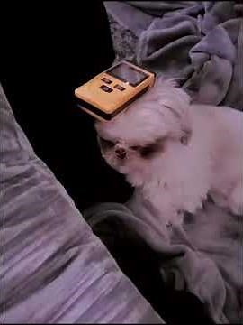 Electronic Torture ! (Gang Stalking)