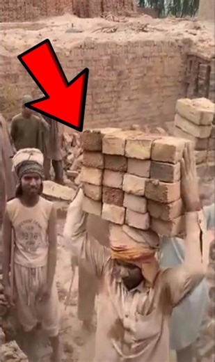 Incredible Speed & Precision! The Fastest Workers Ever Caught on Camera
