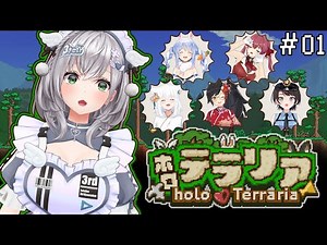 【#ホロテラリア】タイムカードﾋﾟｯ！愉快な仲間たちとテラリアはじめる太郎！【白銀ノエル/ホロライブ】