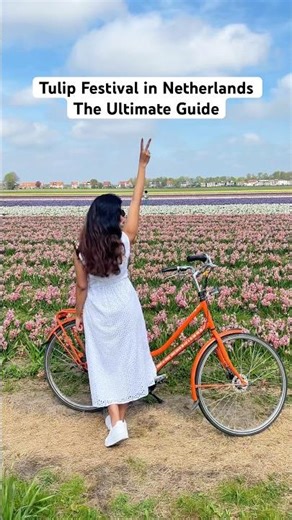 Amsterdam’s Tulip Festival Ultimate Guide | Keukenhof Garden | Netherlands Tulip Farm Things to Do
