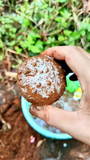 RAM SAM SAM 🍇Sangat Imut 😍 #youtubeshorts #lucu #bayiimutlucu