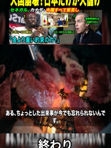 【海外感動秘話】「カナダの2000億円投資を拒否！」セネガル閣僚が下した衝撃決断の全貌…なぜ日本だけが選ばれたのか？終わり