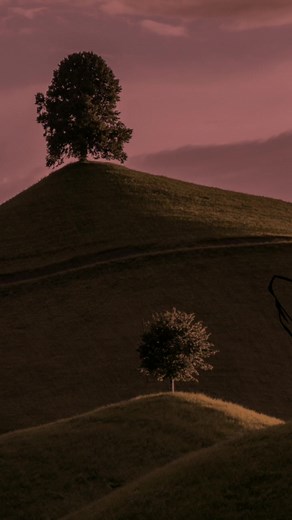 Spooky Sound of Music #soundofmusic #broadway #musical #musicals #musicaltheatre #halloween #spooky #cello #musicbox #organ #theremin #soundtrack #scoobydoo #treehouseofhorror #MajorToMinor | Jimlapbap