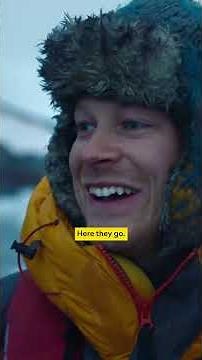 Bertie Gregory gets up close and personal with the 'Grizzly Bear' of the sea... the leopard seal.
