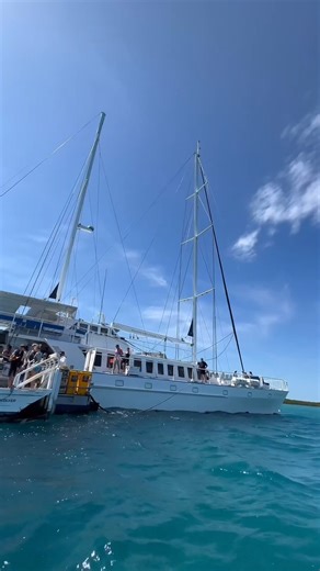 9.4K views · 123 reactions | Set sail for the sandy coral cay of Low...