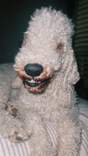 Exploring a Nightmare with Lil Rae Black in a Full Nelson