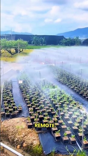 automatic irrigation system with remote control #farming #irrigation #agriculture #easyfarming