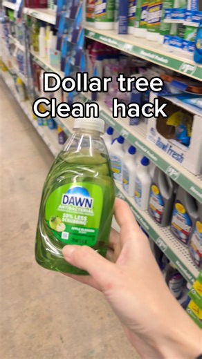 Dollar tree clean hack 😇🌳 #dollartreehacks#kitchenorganization#dollartree#dollartree # @finds#dollartreediy#clean#hack# | Missvickytips