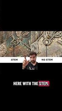 1806 Draped Bust Half With and Without Stem