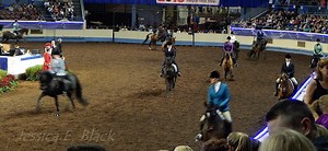 Arena etiquette: Do's and don'ts of sharing an arena with others