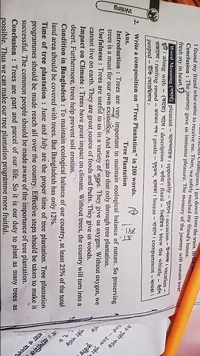 Composition :Tree plantation