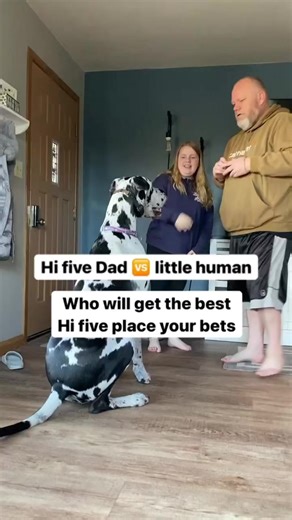 390K views · 7.4K reactions | High five ️ best trick. #DogTricks #Dog #GreatDane | Larry_the_great_dane | Facebook