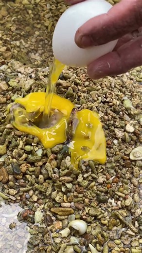 Catching a Hidden Crab in Gravel Using a Raw Egg! 🦀🥚