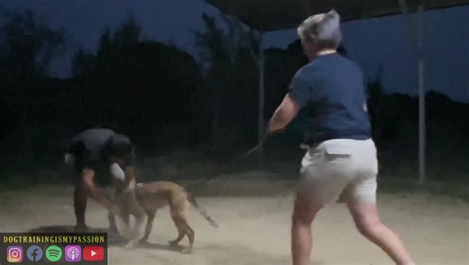 PSA Bitework July 2022 | Dog Training is my Passion