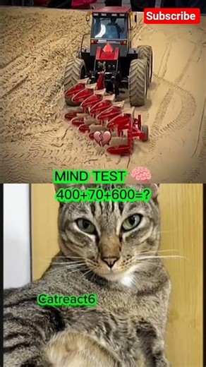 aura #aura #catbombastic #trending #catreaction #catmoments #viral #bombastic #subscribe