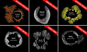 The beauty of crystallization: Macro-timelapse footage captures the process in stunning detail