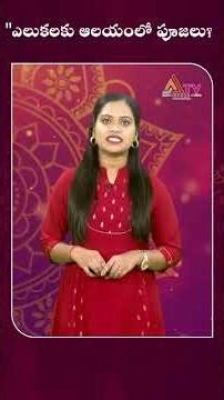 Rats are worshipped in the temple..! | #shortsvideo #thalapatranidhi